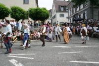 IMG_6525 (2) 